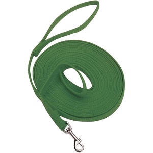 image:imageCoastal Cotton Web Training Dog  Leash Green 20 ft