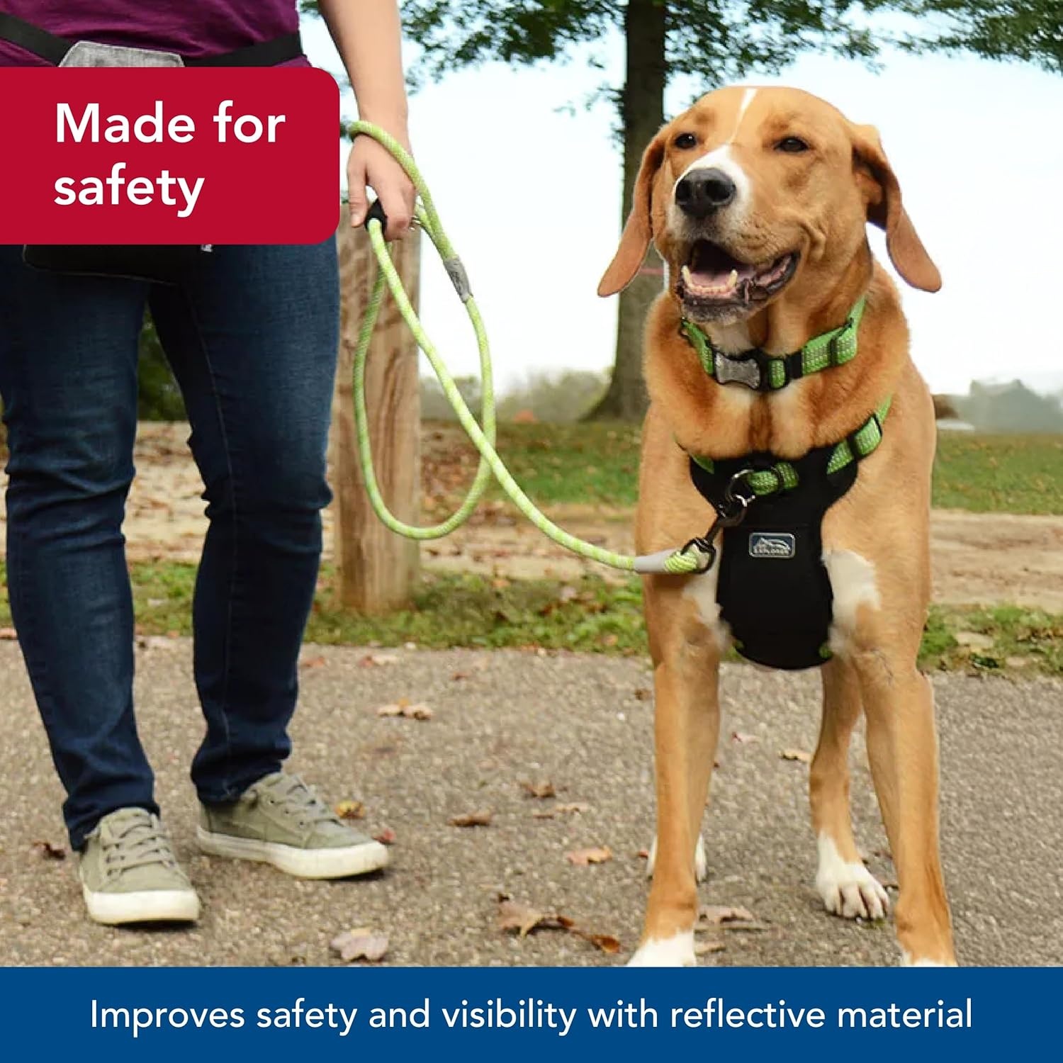 image:imageCoastal K9 Explorer Brights Reflective Braided Rope Snap Leash Mountain 12 x 6Mountain