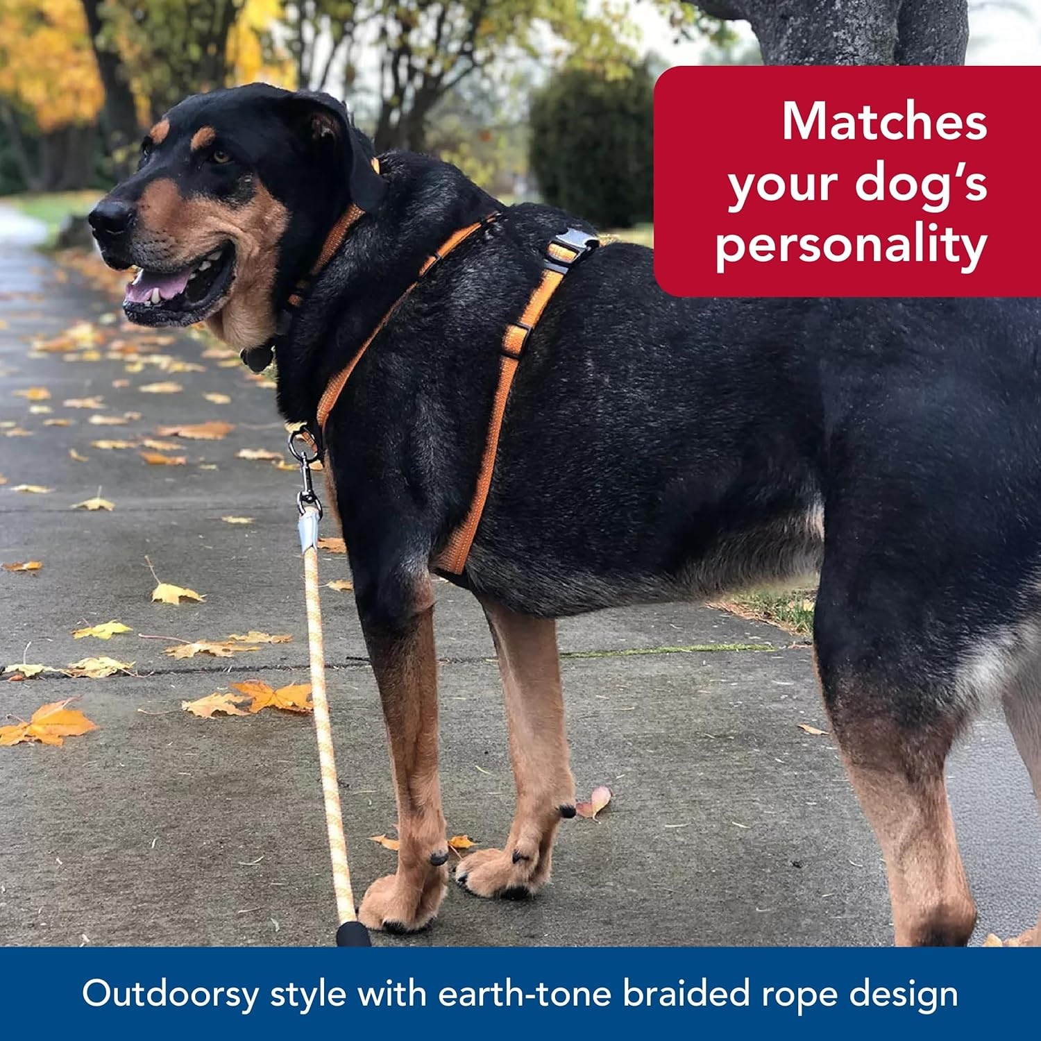image:imageCoastal K9 Explorer Brights Reflective Braided Rope Snap Leash Mountain 12 x 6Mountain