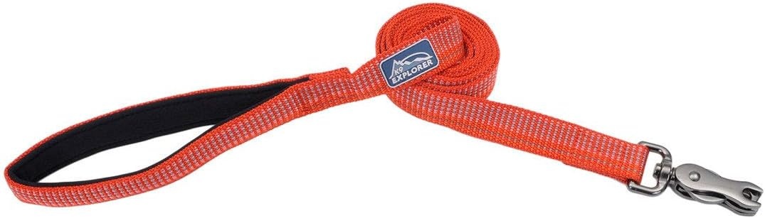 image:imageCoastal K9 Explorer Brights Reflective Dog Leash Meadow 58 x 06Canyon