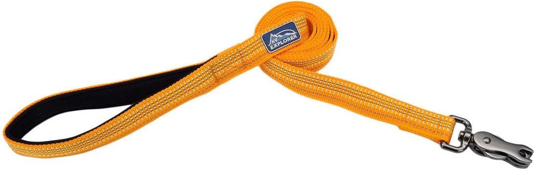 image:imageCoastal K9 Explorer Brights Reflective Dog Leash Meadow 58 x 06Desert