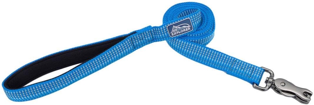 image:imageCoastal K9 Explorer Brights Reflective Dog Leash Meadow 58 x 06Lake