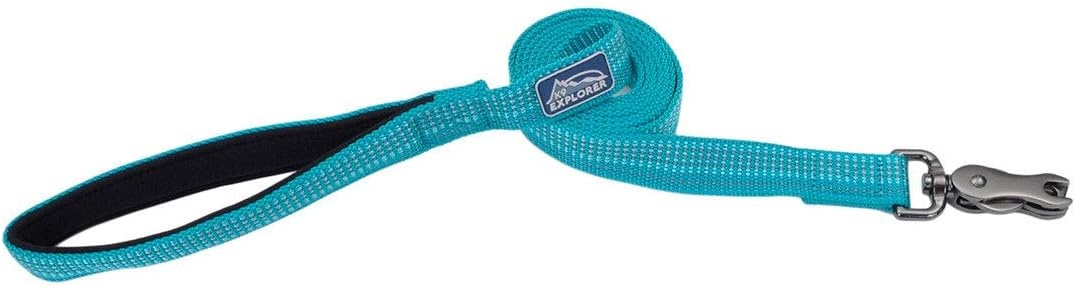 image:imageCoastal K9 Explorer Brights Reflective Dog Leash Meadow 58 x 06Ocean