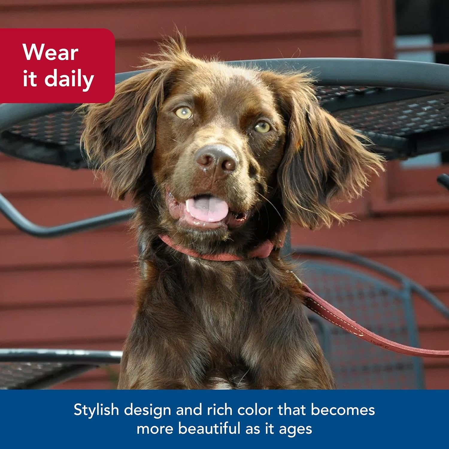 image:imageCoastal Pet Circle T Rustic Leather Round Dog Collar Slate Grey 1 x 24Brick Red