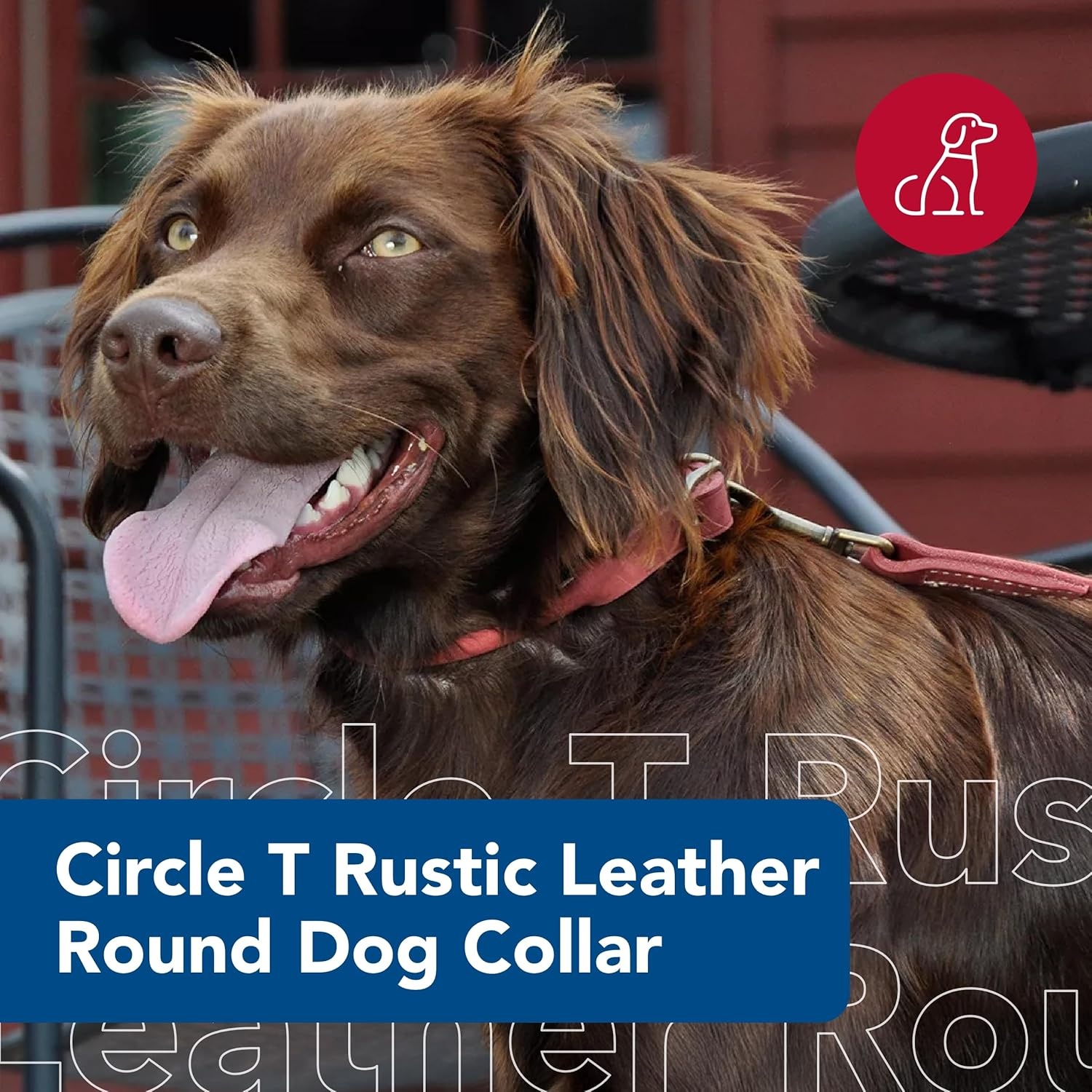 image:imageCoastal Pet Circle T Rustic Leather Round Dog Collar Slate Grey 1 x 24Chocolate