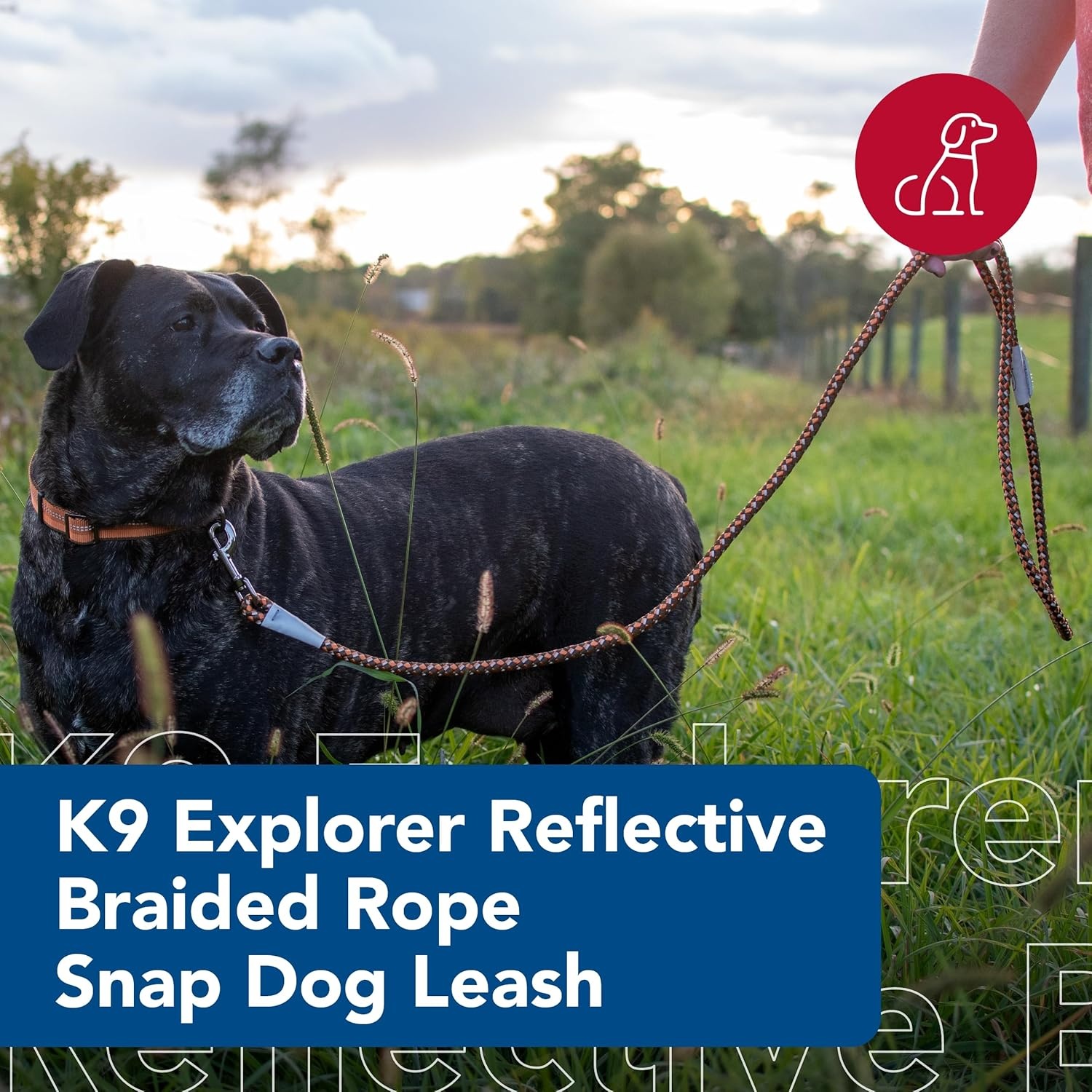 image:imageCoastal Pet K9 Explorer Reflective Braided Rope Snap Dog Leash HeavyDuty Leash Comfortable amp Secure Grip Reflective Cord amp Rugged Gunmetal Hardware Fern 06Rosebud
