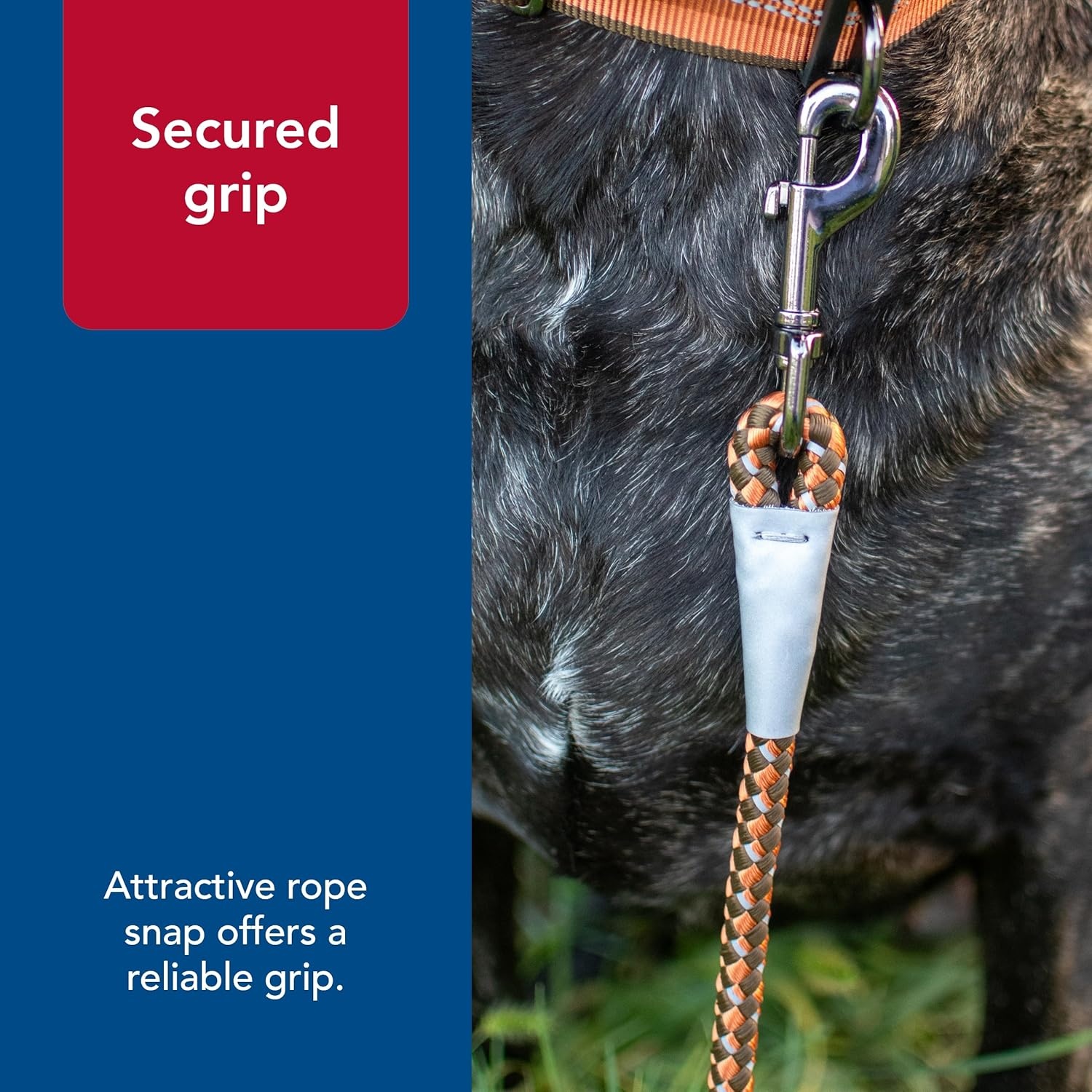 image:imageCoastal Pet K9 Explorer Reflective Braided Rope Snap Dog Leash HeavyDuty Leash Comfortable amp Secure Grip Reflective Cord amp Rugged Gunmetal Hardware Fern 06Fern