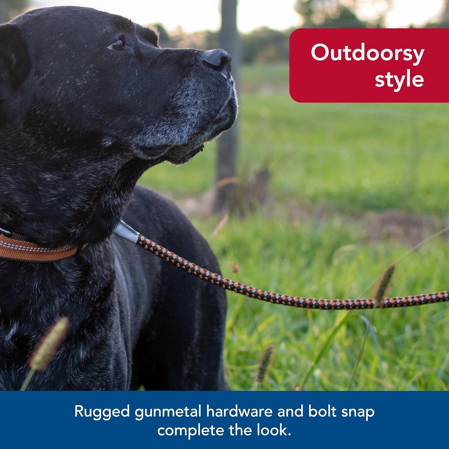 image:imageCoastal Pet K9 Explorer Reflective Braided Rope Snap Dog Leash HeavyDuty Leash Comfortable amp Secure Grip Reflective Cord amp Rugged Gunmetal Hardware Fern 06Campfire Orange