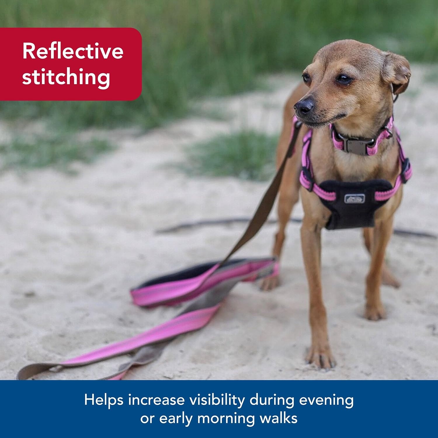image:imageCoastal Pet K9 Explorer Reflective Dog Leash with Scissor Snap Durable Nylon for Dogs amp Puppies Pet Supplies Orchid 58 x 6Orchid