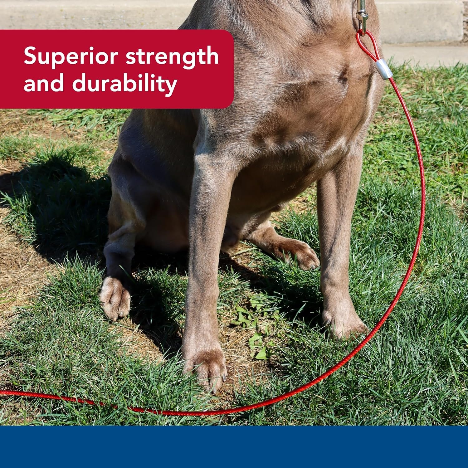 image:imageCoastal Pet Titan Dog Stake amp Cable Tie Out Combos Cable Tie Out for Dogs Features Nickel Snaps Durable HeavyDuty Dog Tie Out Cable Quality Dog Supplies 15