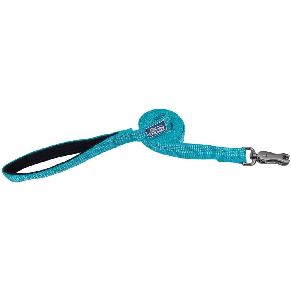 image:imageCoastal K9 Explorer Brights Reflective Dog Leash Meadow 58 x 06Ocean