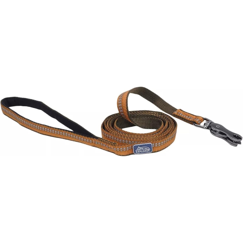 image:imageCoastal Pet K9 Explorer Reflective Dog Leash with Scissor Snap Durable Nylon for Dogs amp Puppies Pet Supplies Orchid 58 x 6Campfire Orange
