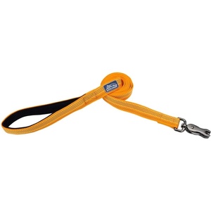 image:imageCoastal  K9 Explorer  Brights Reflective Dog Leash Meadow 58 x 06Desert