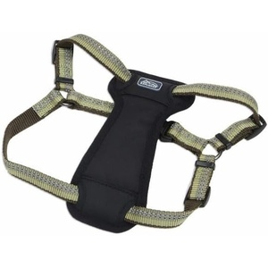 image:imageCoastal Pet K9 Explorer Reflective Adjustable Padded Dog Harness  Plush Chest Pad for Comfort  NoPull Dog Harness for Small and Large Dogs  Fern  1 x 2638 Large