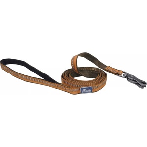 image:imageCoastal Pet K9 Explorer Reflective Dog Leash with Scissor Snap  Durable Nylon  for Dogs amp Puppies  Pet Supplies  Orchid 58 x 6Campfire Orange