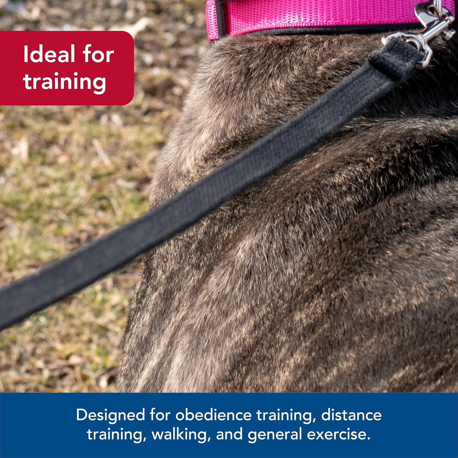 image:imageCoastal Train Right Cotton Web Dog Training Leash Red 58 x 15