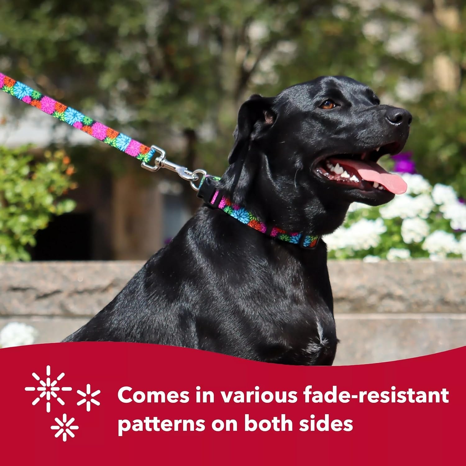 image:imageCoastal Pet Styles Adjustable Dog Collar Stylish Patterned Fabrics SnapLock Buckle Adjustable Dog Collar for Small Medium or Large Dogs Black Skulls 38 x 0812