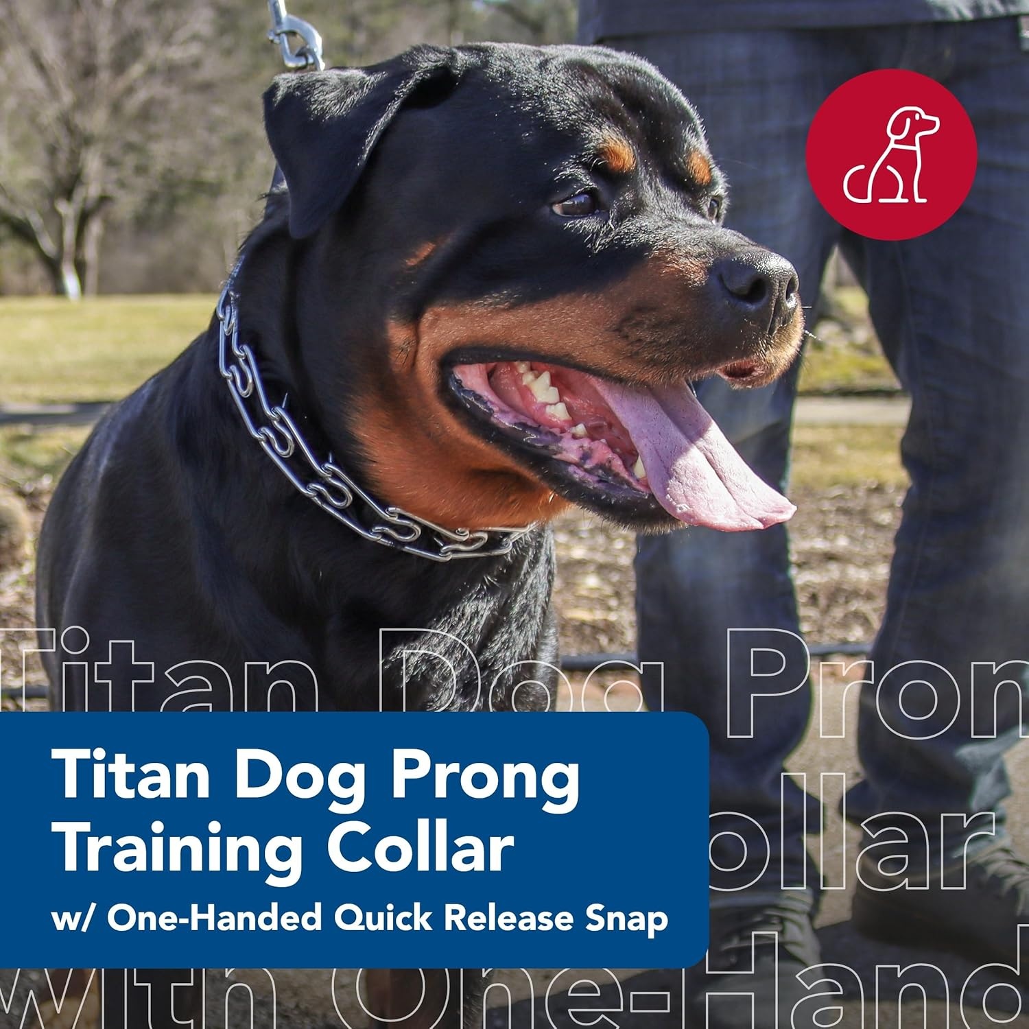 image:imageCoastal Pet Titan Dog Prong Quick Release Training Collar Pet Training Collar for Dogs RustResistant Metal Dog Collar for Dog Training Prong Dog Chain Collar Quality Dog Supplies 3 mm x 18Chrome