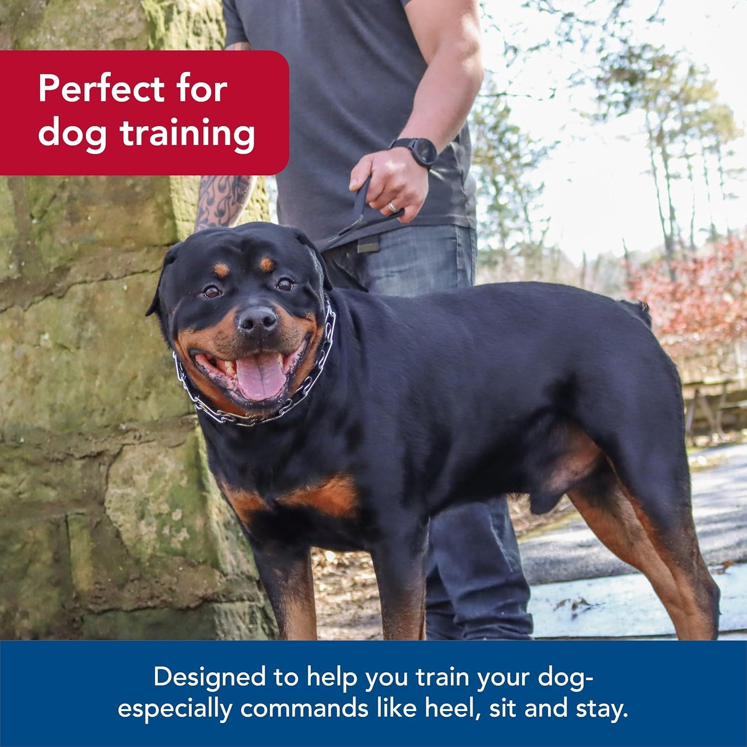 image:imageCoastal Pet Titan Dog Prong Quick Release Training Collar Pet Training Collar for Dogs RustResistant Metal Dog Collar for Dog Training Prong Dog Chain Collar Quality Dog Supplies 3 mm x 18Chrome