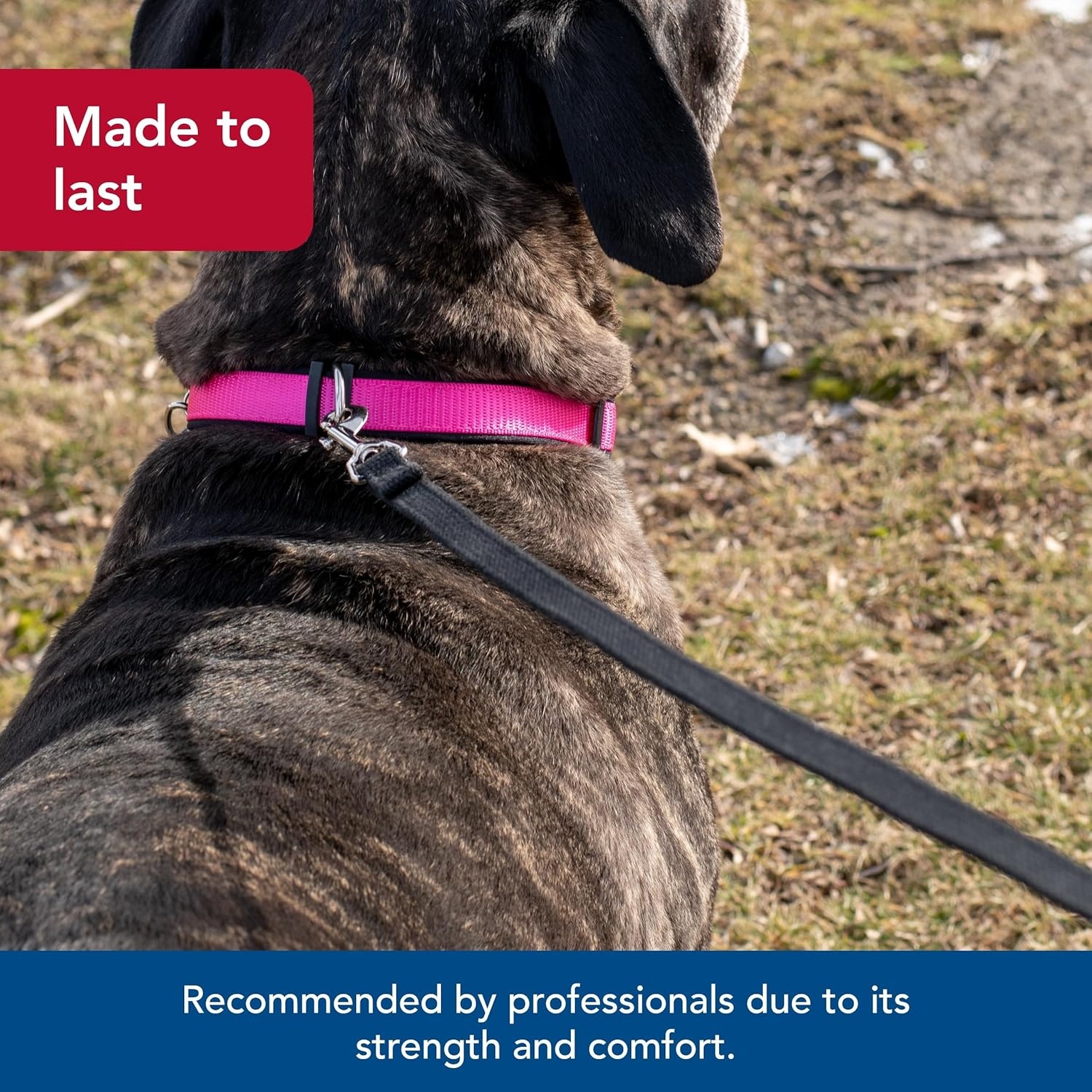 image:imageCoastal Pet Train Right Cotton Web Dog Training Leash 100 Cotton Durable Dog Walking Leash for Puppies Quality Training Supplies Red 58 x 10Black