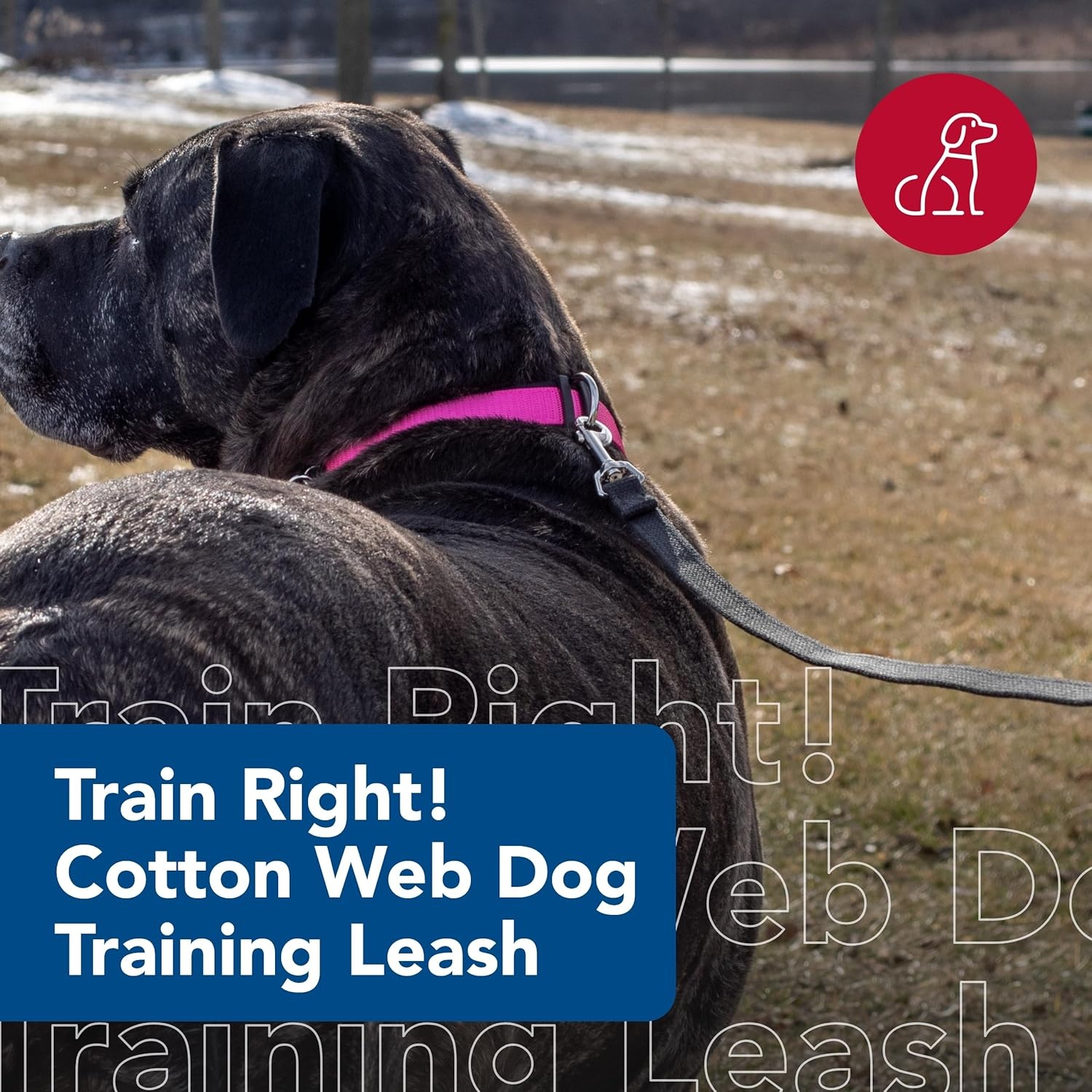 image:imageCoastal Pet Train Right Cotton Web Dog Training Leash 100 Cotton Dog Leash for Training Durable Supplies Green 58 x 10