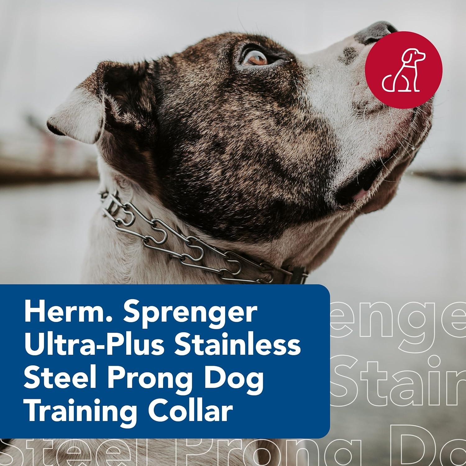 image:imageHerm Sprenger Stainless Steel UltraPlus Prong Dog Training Collar 320 mm x 18 Neck Size 22 Chain Length4 mm x 20 25 Pack of 1