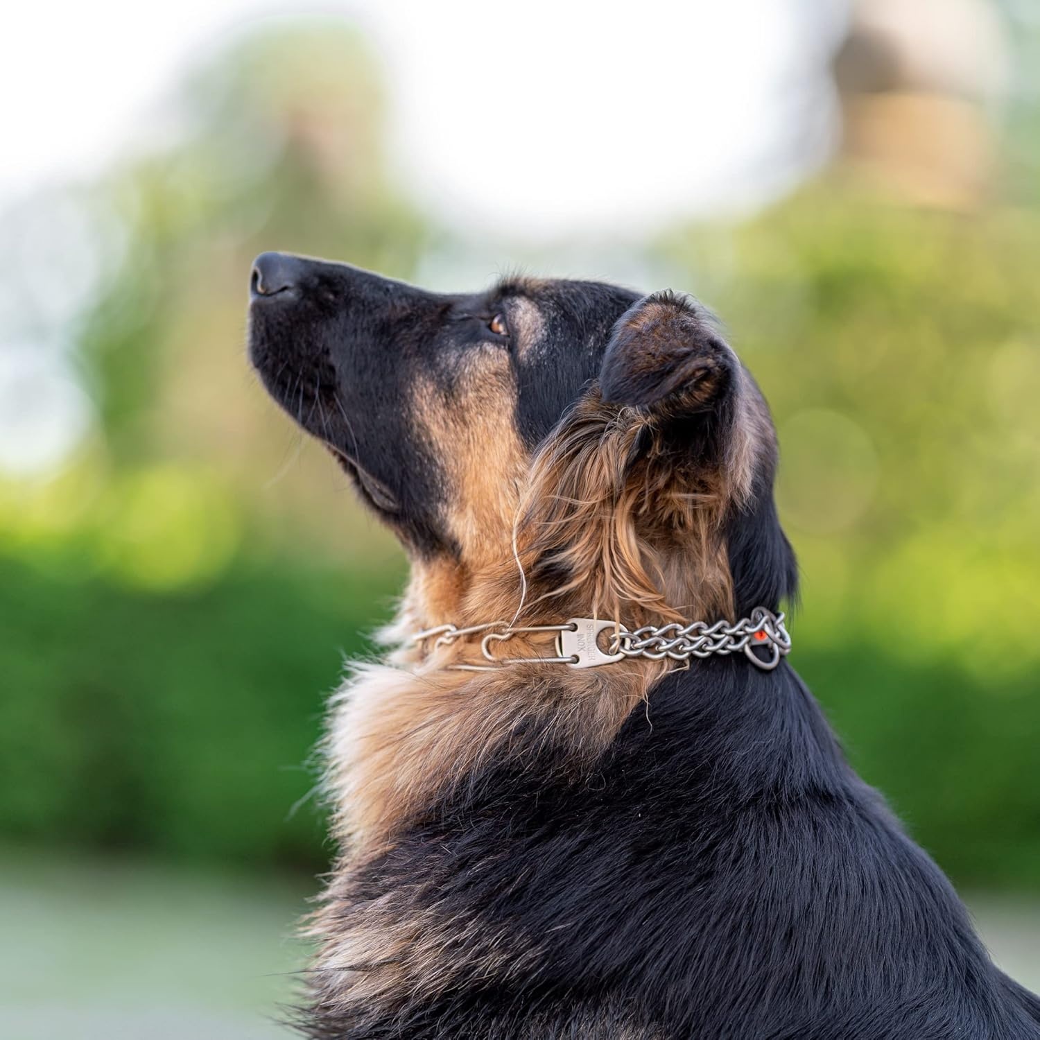 image:imageHerm Sprenger UltraPlus Black Stainless Steel Dog Prong Training Collar 225mm Prongs x 16 Overall Length Neck Size up to 13 in16in x 225mm neck size up to 13 in Matte