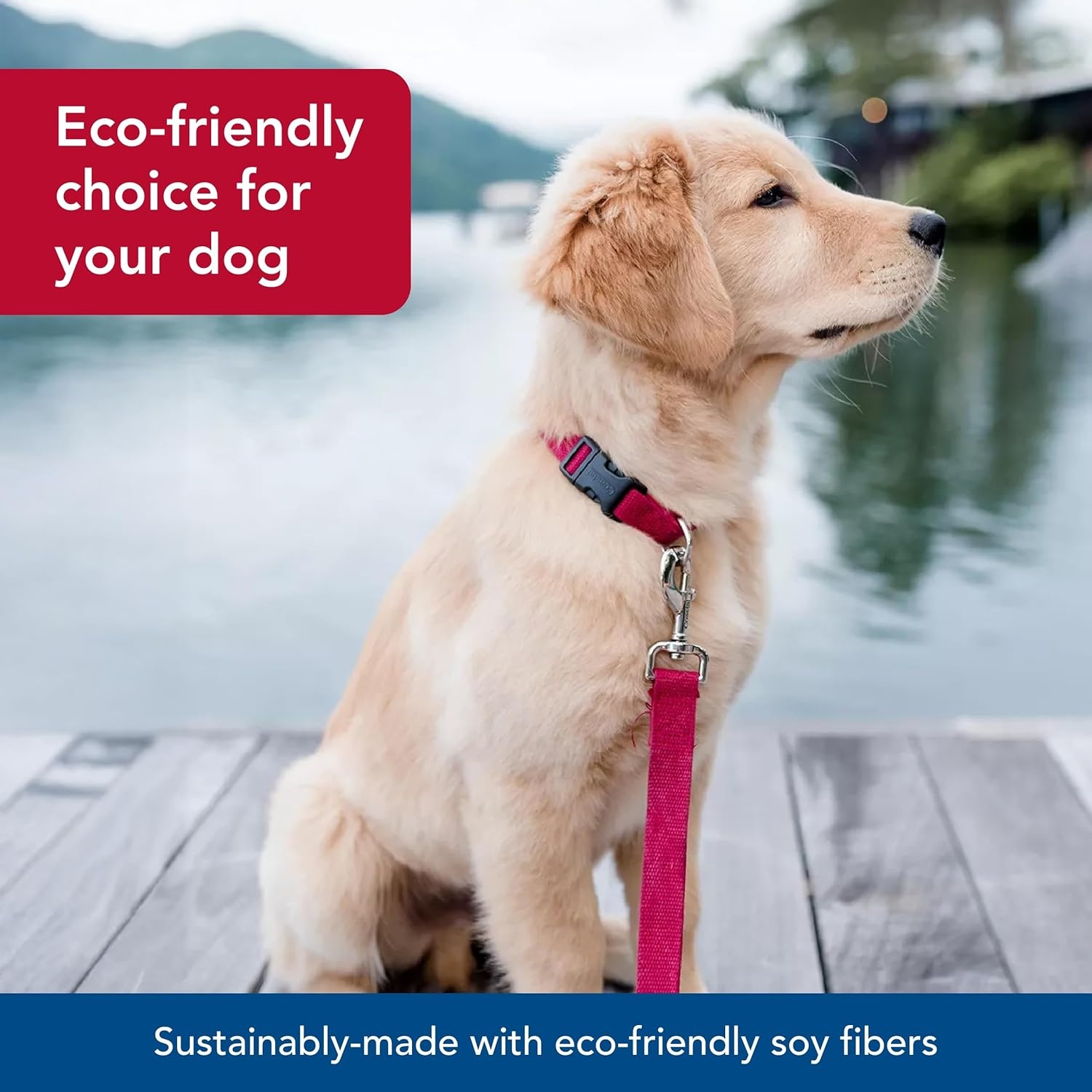 image:imageCoastal New Earth Soy Dog Leash Fuchsia 58 x 06Cranberry