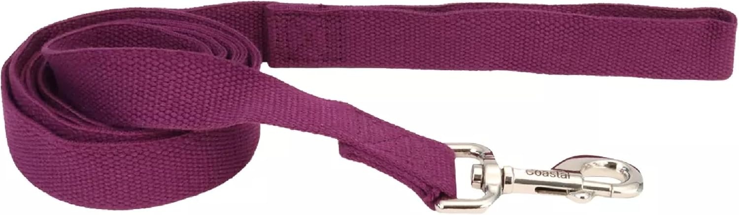 image:imageCoastal New Earth Soy Dog Leash Fuchsia 58 x 06Eggplant