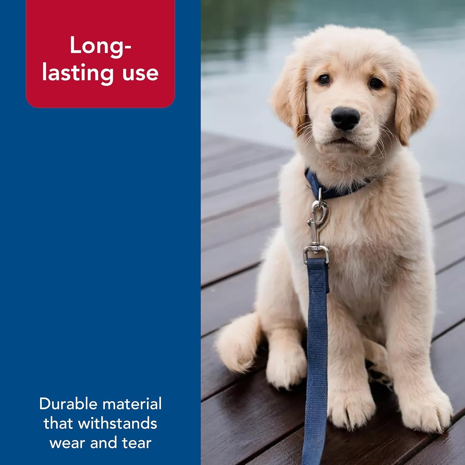 image:imageCoastal New Earth Soy Dog Leash Fuchsia 58 x 06Fuchsia