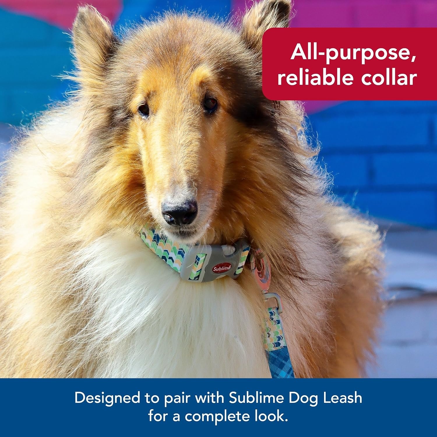 image:imageCoastal Sublime Adjustable Dog Collar Aztec Yellow Chevron 1 12 x 1826Pink and Orange Flower Print on Navy