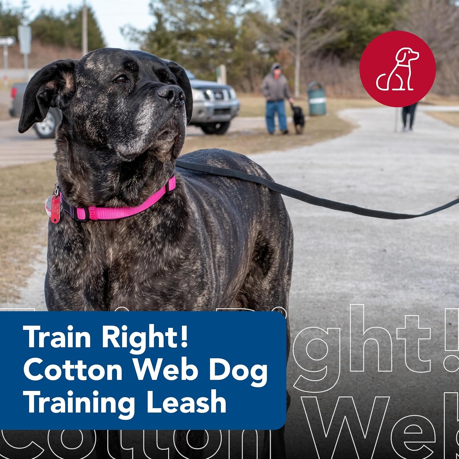 image:imageCoastal Cotton Web Training Dog Leash Red 20 ft