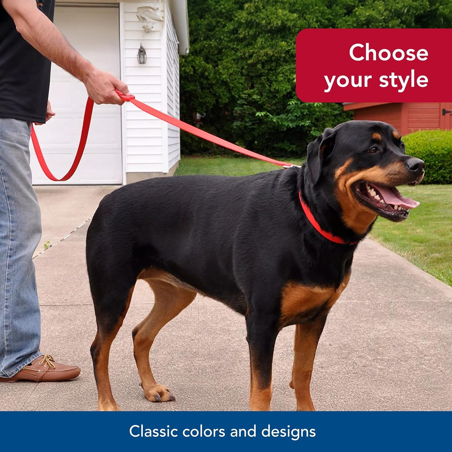 image:imageCoastal Pet InstaGrip Control Handle Dog Leash Adjustable Traffic Dog Leash for Training Stylish Nylon Pet Supplies Blue 1 x 6Black