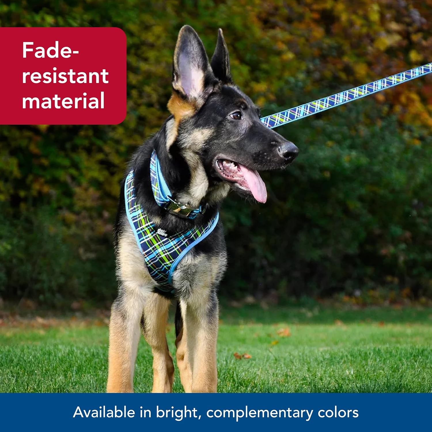 image:imageCoastal Pet Ribbon Dog Leash Contemporary Stylish Look Durable FadeResistant Nylon Material Perfect for Dogs Brown Paws and Bones 58 x 06Red