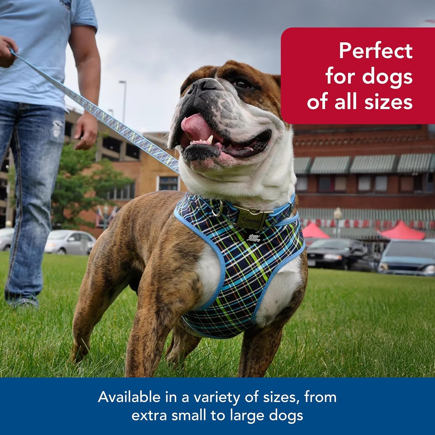 image:imageCoastal Pet Ribbon Dog Leash Contemporary Stylish Look Durable FadeResistant Nylon Material Perfect for Dogs Brown Paws and Bones 58 x 06Red