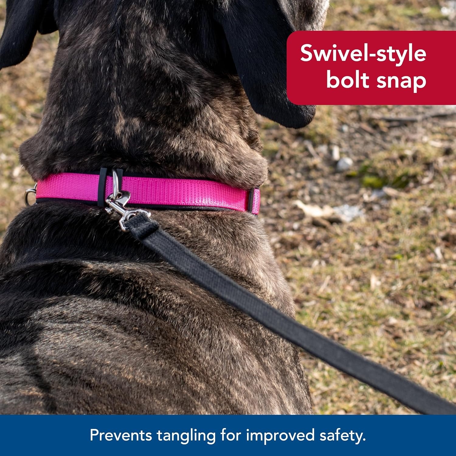 image:imageCoastal Pet Train Right Cotton Web Dog Training Leash 100 Cotton Dog Leash for Training Durable Dog Walking Leash Leash for Puppies amp Dogs Quality Dog Supplies Red 58 x 30