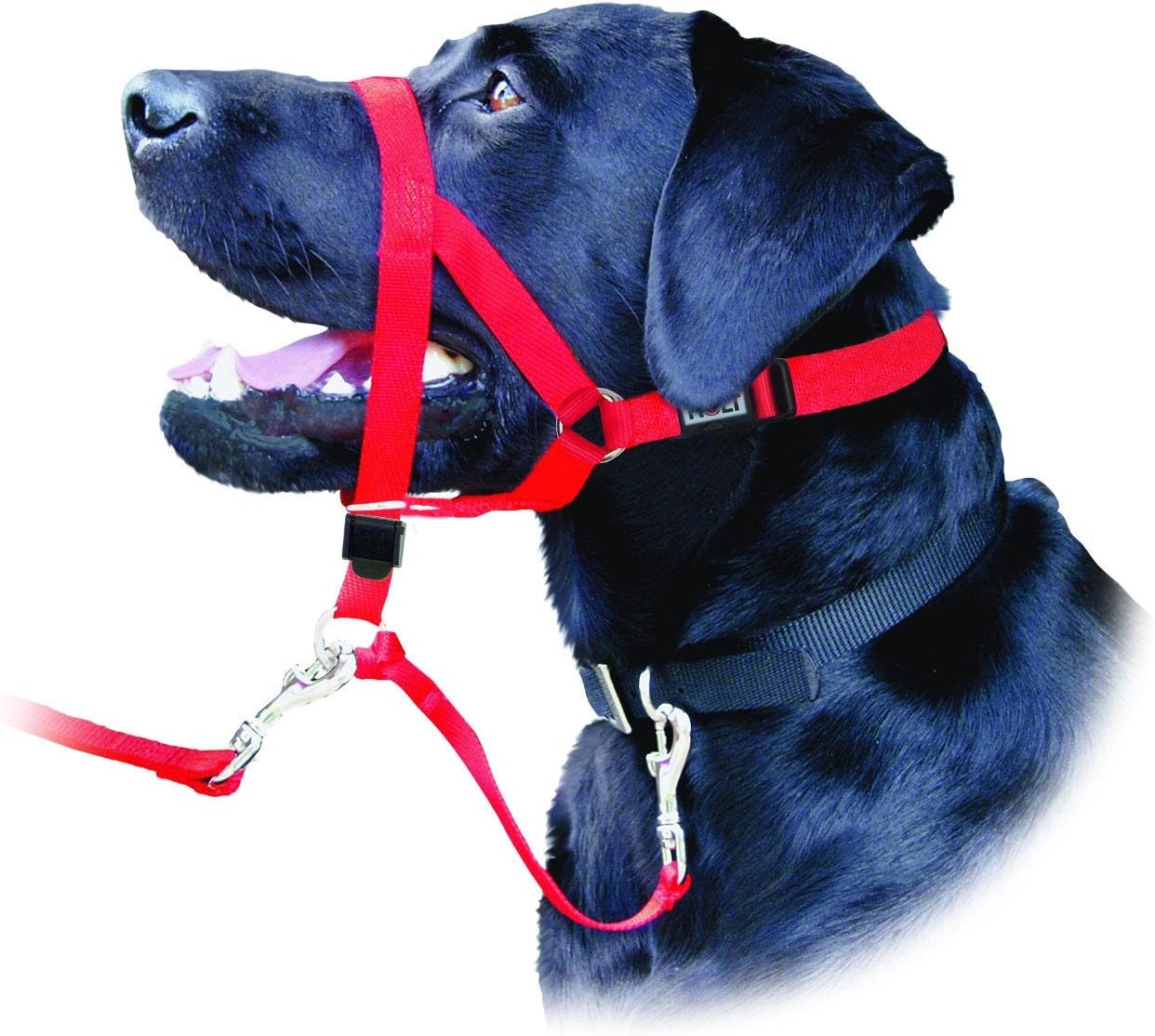 image:imageCoastal Pet Walk n Train Dog Head Halter Head Colllar Dog Leader NoPull Pet Harness QuickDrying Polyester Black XLargeBlack