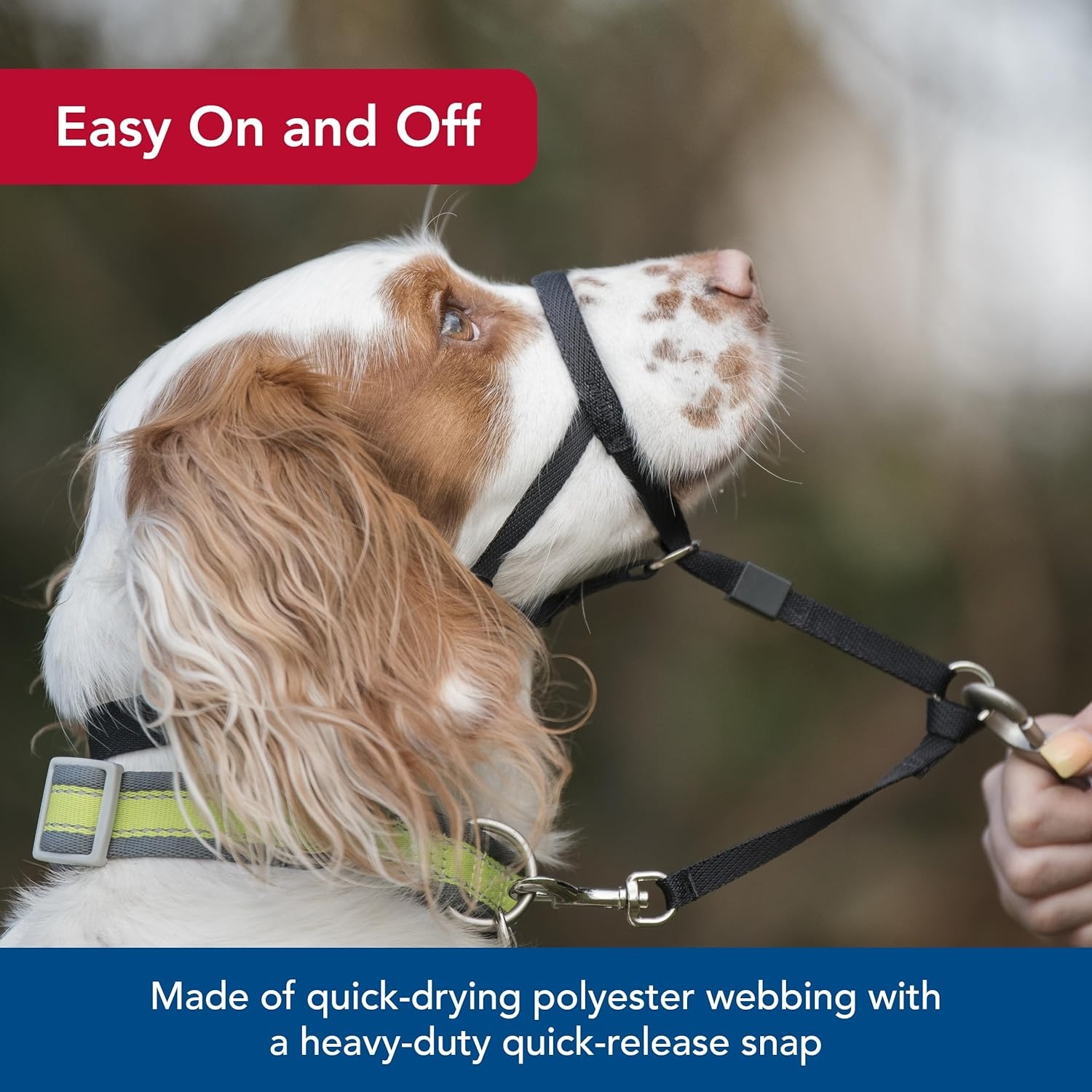image:imageCoastal Pet Walk n Train Dog Head Halter Head Colllar Dog Leader NoPull Pet Harness QuickDrying Polyester Black XLargeBlack