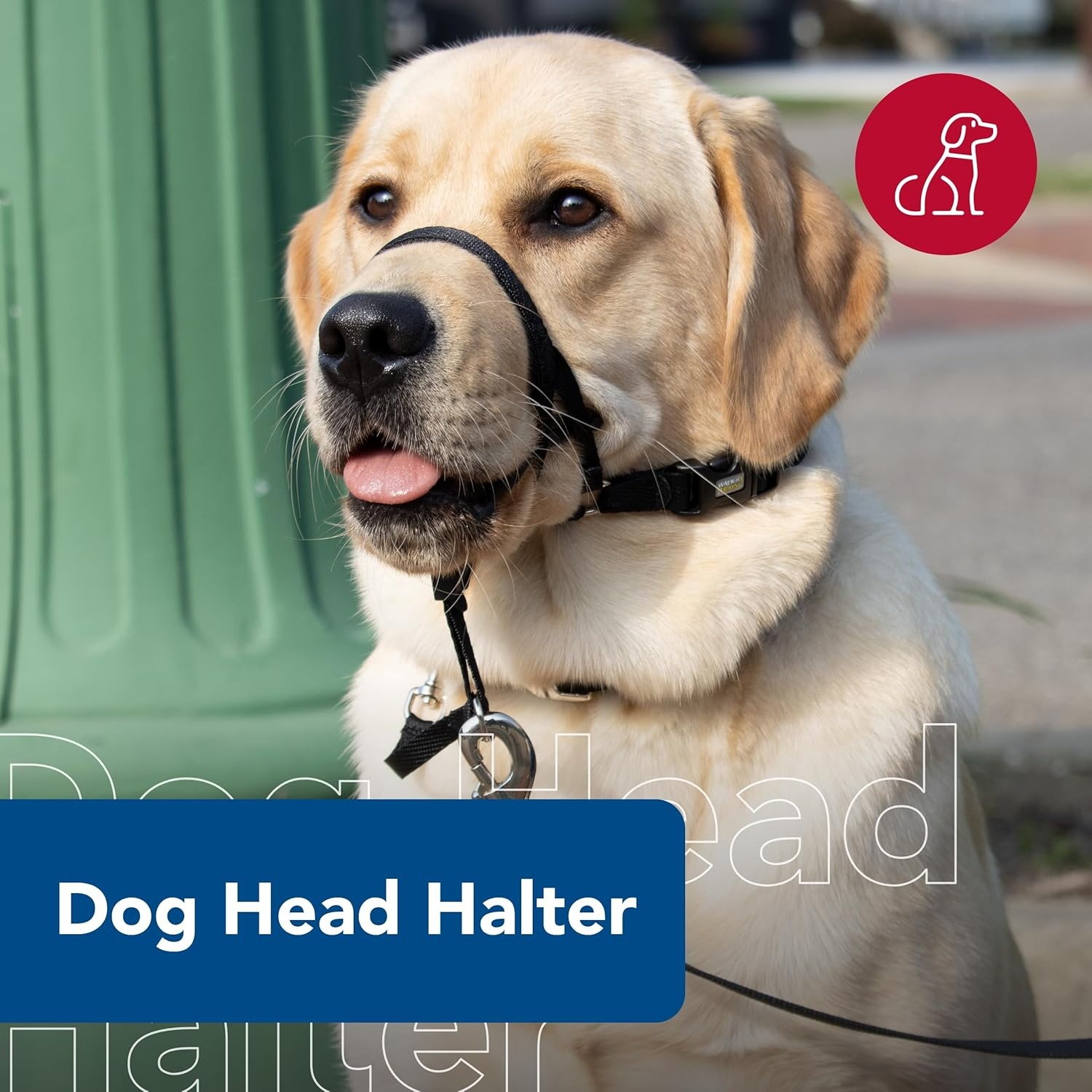 image:imageCoastal Pet Walk n Train Dog Head Halter Head Colllar Dog Leader NoPull Pet Harness QuickDrying Polyester Black XLargeBlack