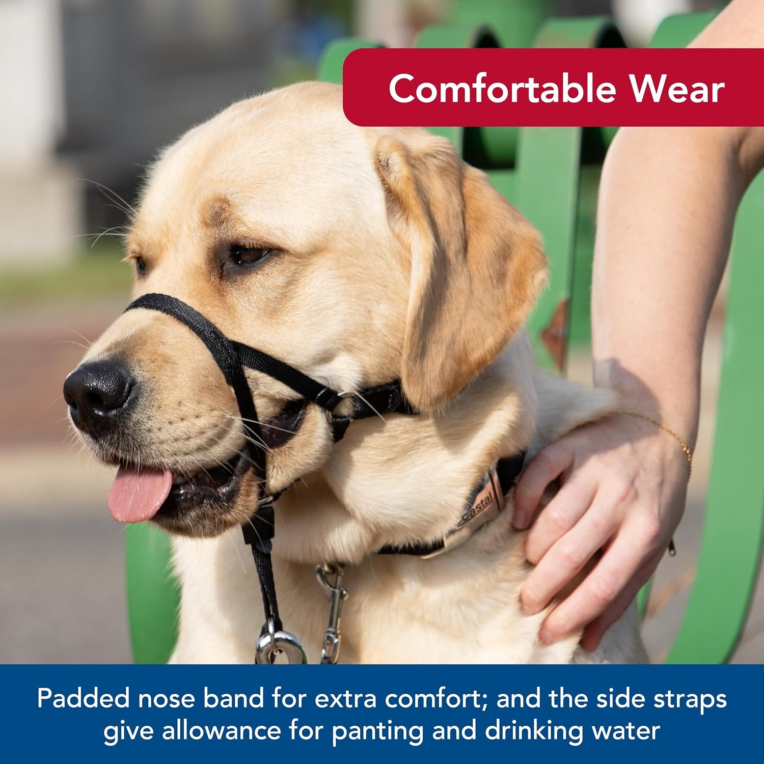 image:imageCoastal Pet Walk n Train Dog Head Halter Head Colllar Dog Leader NoPull Pet Harness QuickDrying Polyester Black XLargeBlack