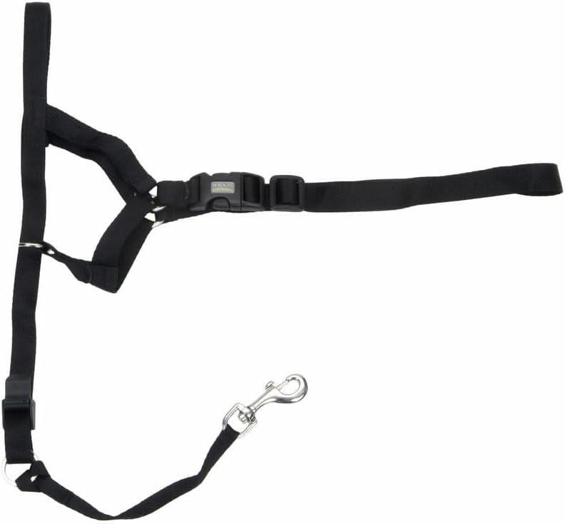 image:imageCoastal Pet Walk n Train Dog Head Halter Head Colllar Dog Leader NoPull Pet Harness QuickDrying Polyester Black XLargeBlack