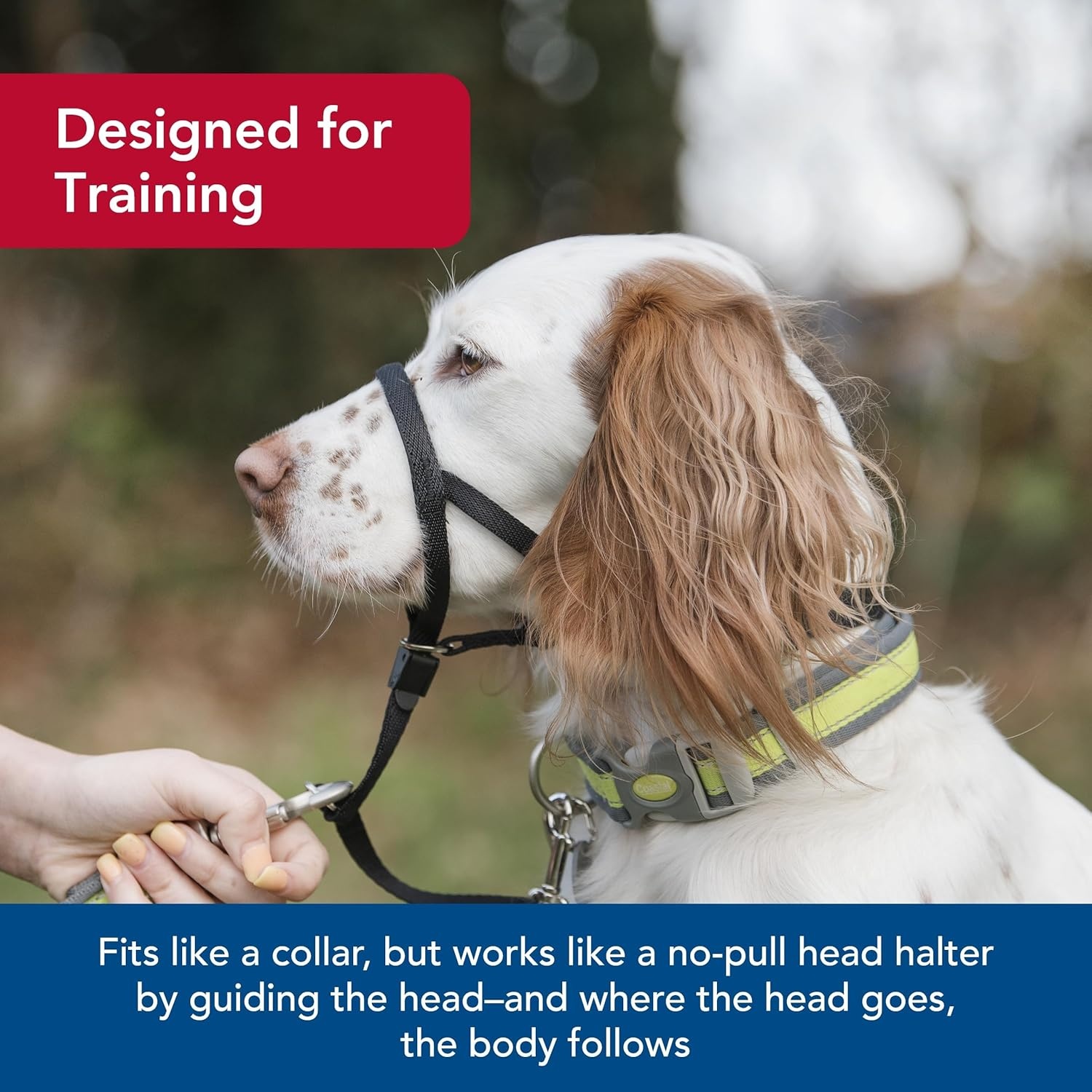 image:imageCoastal Pet Walk n Train Dog Head Halter Head Colllar Dog Leader NoPull Pet Harness QuickDrying Polyester Black XLargeBlack