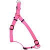 Neon Pink
