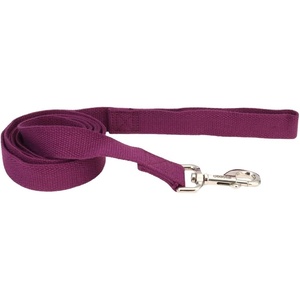 image:imageCoastal  New Earth Soy  Dog Leash Fuchsia 58 x 06Eggplant
