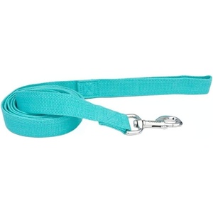image:imageCoastal  New Earth Soy  Dog Leash Fuchsia 58 x 06Mint
