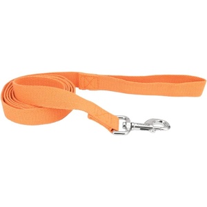 image:imageCoastal  New Earth Soy  Dog Leash Fuchsia 58 x 06Pumpkin