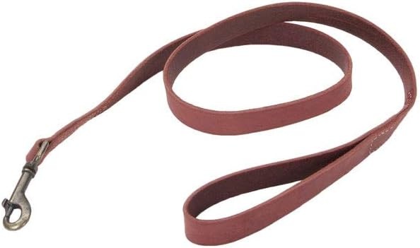 image:imageCoastal Circle T Rustic Leather Town Dog Leash Chocolate Brown with Oxidized Plated Brass Hardware 38 x 6Brick Red
