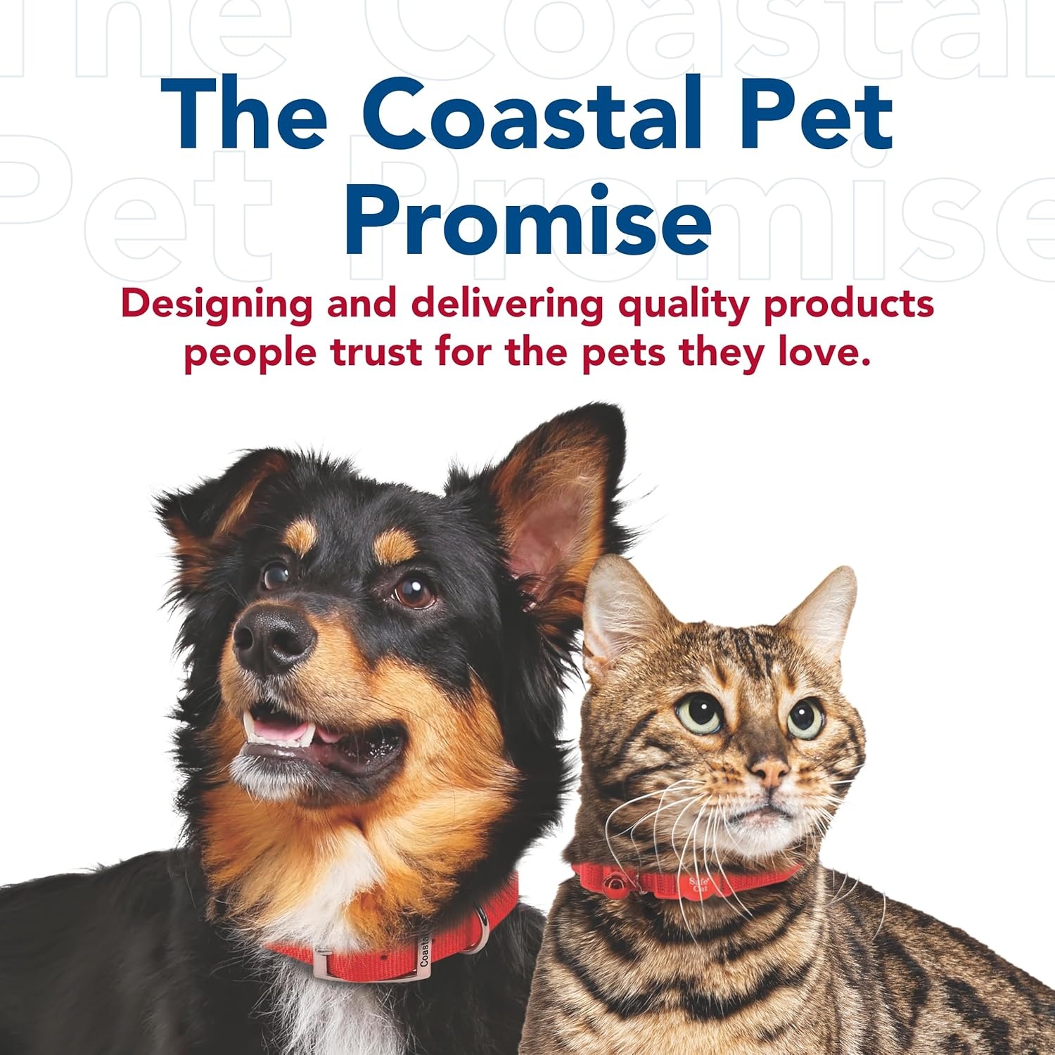 image:imageCoastal Lazer Brite Reflective Dog Leash Red Paws and Bones 1 x 06Red Paws and Bones