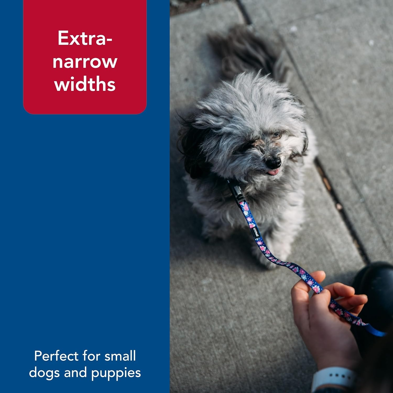image:imageCoastal Lil Pals Reflective Leash ExtraNarrow Width and EZ Snap Red with Reflective Bones and Triangles 38 x 6Flower with Dots
