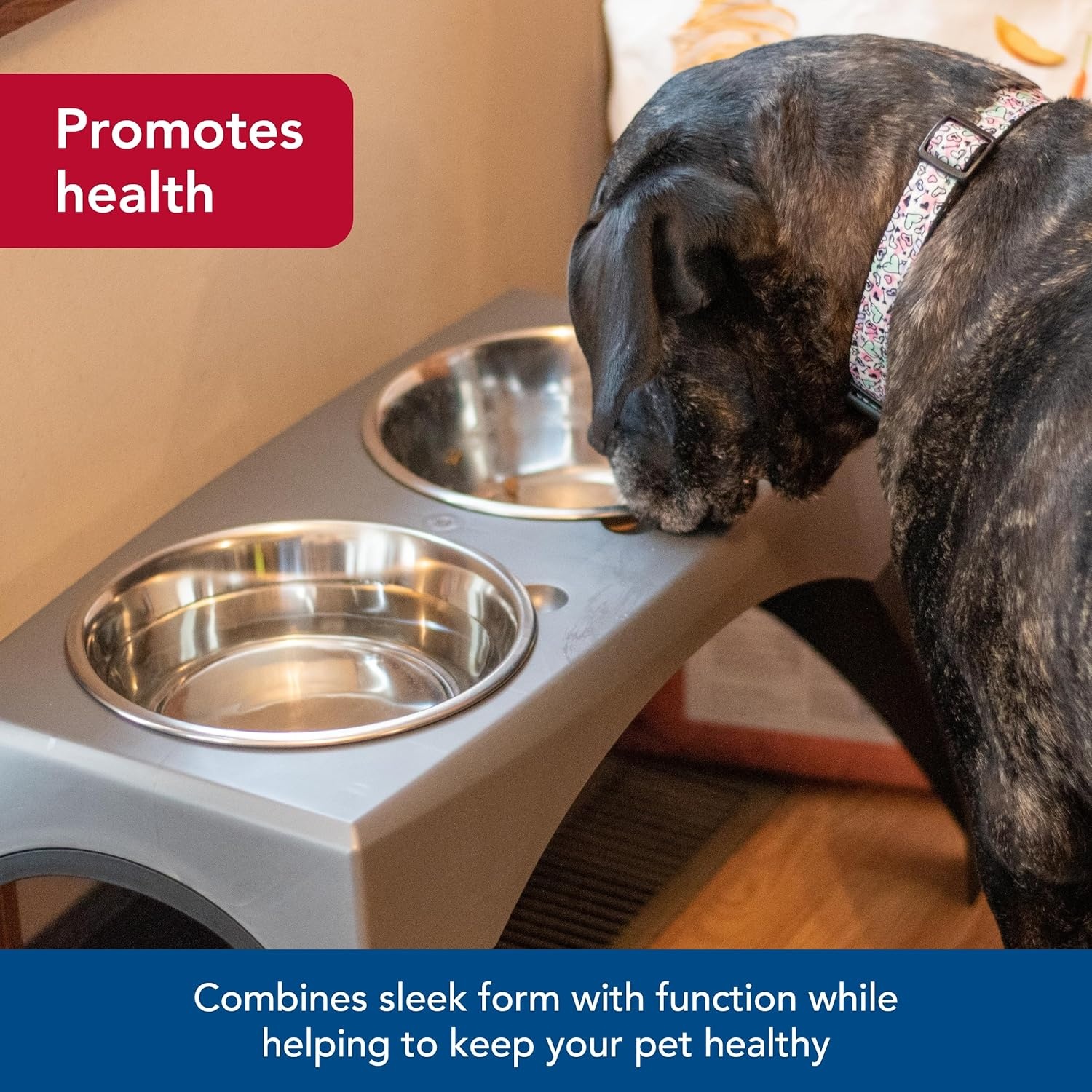 image:imageCoastal Pet Maslow Elevated Feeder Single Pack Grey and Black Medium